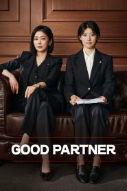 Good Partner Capitulo 12